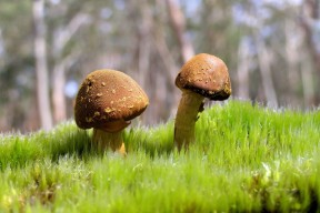 世界网球夜校新学期特色课程目录对外发布，世界网球大赛